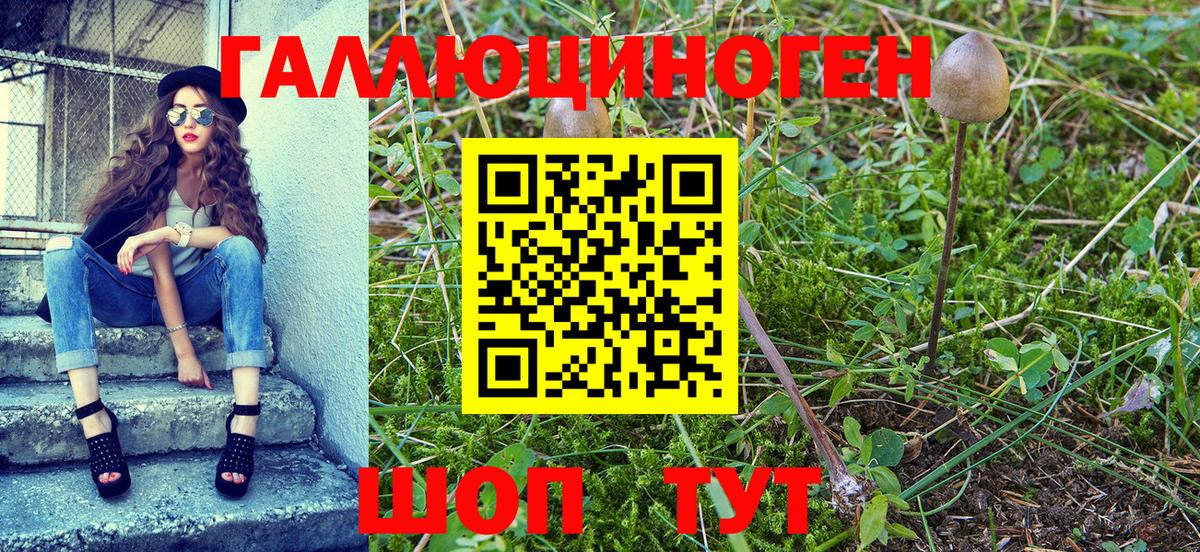 Псилоцибиновые грибы прущие грибы Миасс