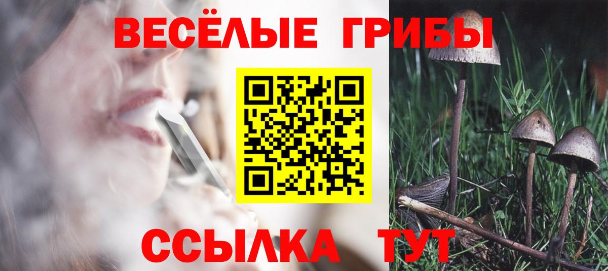 купить наркоту  Галлюциногенные грибы мицелий  Вход с VPN  Миасс 